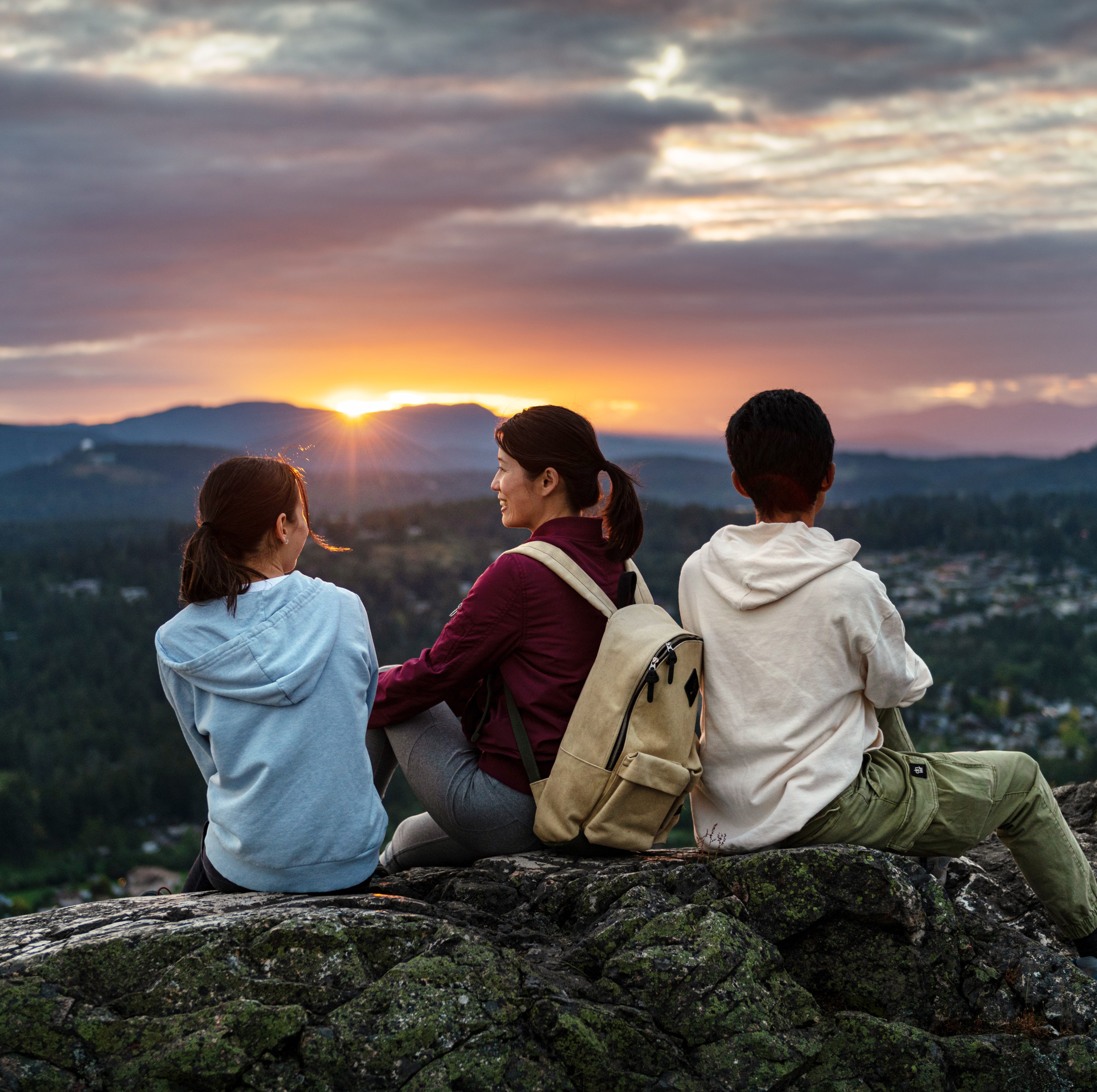 saanich economic development strategy
